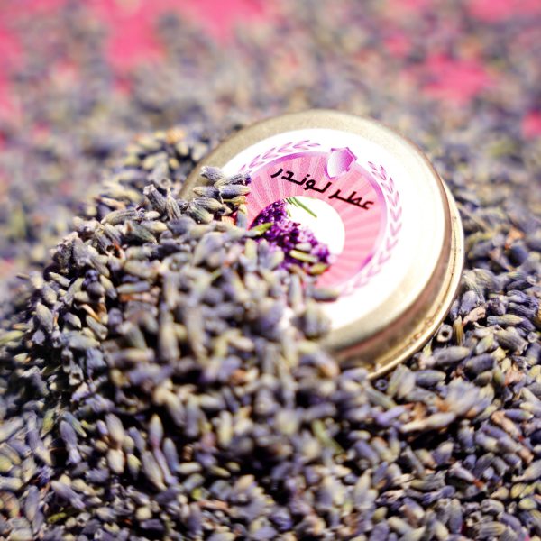 عطر جامد لوندر (اسطوخدوس) ساران - Image 1